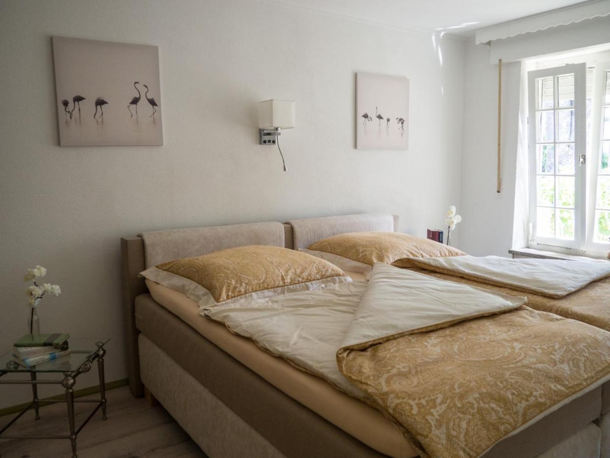 Am Rheinsteig Apartment *